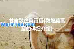 甘肃敦煌莫高窟(敦煌莫高窟的详细介绍)