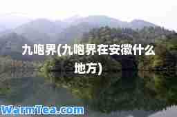 九咆界(九咆界在安徽什么地方)