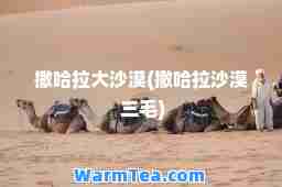 撒哈拉大沙漠(撒哈拉沙漠 三毛)