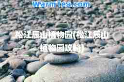 松江辰山植物园(松江辰山植物园攻略)