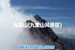 九龙山(九龙山风景区)