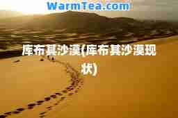 库布其沙漠(库布其沙漠现状)