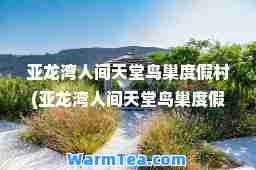 亚龙湾人间天堂鸟巢度假村(亚龙湾人间天堂鸟巢度假村的房型)