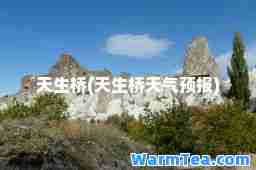天生桥(天生桥天气预报)