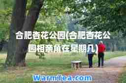 肥杏花公园(肥杏花公园相亲角在星期几)