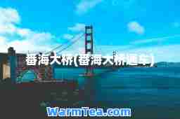 番海大桥(番海大桥通车)