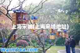 上海宋城(上海宋城地址)