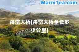 舟岱大桥(舟岱大桥全长多少公里)