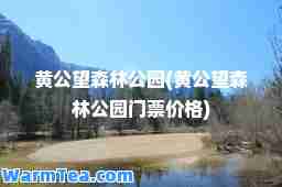 黄公望森林公园(黄公望森林公园门票价格)