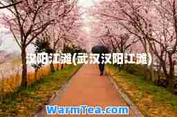 汉阳江滩(武汉汉阳江滩)