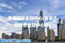 金融中心(还是世界金融中心吗)