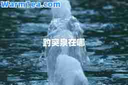 趵突泉在哪