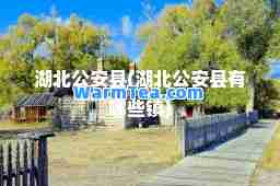 湖北公安县(湖北公安县有哪些镇)