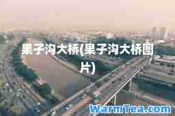 果子沟大桥(果子沟大桥图片)