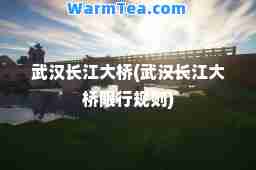 武汉长江大桥(武汉长江大桥限行规则)
