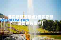 俄罗斯旅游景点(俄罗斯旅游景点有哪些)