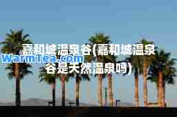 嘉和城温泉谷(嘉和城温泉谷是天然温泉吗)