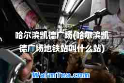 哈尔滨凯德广场(哈尔滨凯德广场地铁站叫什么站)
