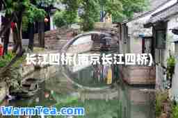 长江四桥(南京长江四桥)