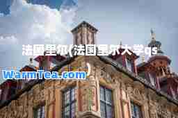 法国里尔(法国里尔大学qs)
