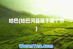 哈巴(哈巴河县属于哪个市)