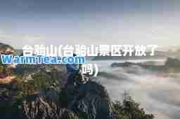 台骀山(台骀山景区开放了吗)