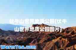 伏牛山世界地质公园(伏牛山世界地质公园图片)