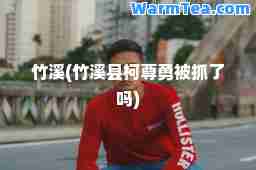 竹溪(竹溪县柯尊勇被抓了吗)