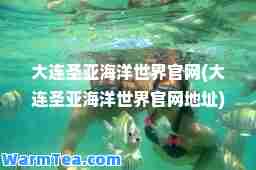 大连圣亚海洋世界官网(大连圣亚海洋世界官网地址)