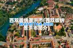 西双版纳景洪市(西双版纳景洪市简介)