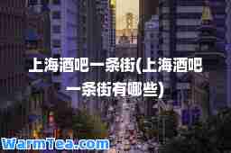 上海酒吧一条街(上海酒吧一条街有哪些)
