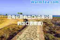 沿海公路的出口(沿海公路的出口吉他谱)