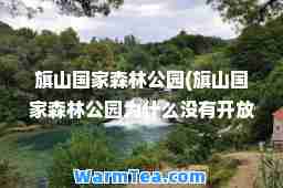 旗山国家森林公园(旗山国家森林公园为什么没有开放)