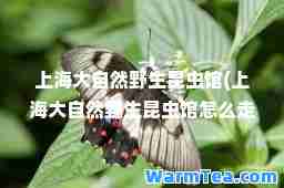 上海大自然野生昆虫馆(上海大自然野生昆虫馆怎么走)