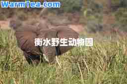 衡水野生动物园