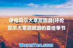 呼伦贝尔大草原旅游(呼伦贝尔大草原旅游的季节)