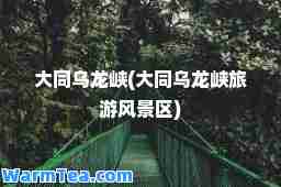 大同乌龙峡(大同乌龙峡旅游风景区)