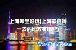 上海哪里好玩(上海最值得一去的地方有哪些)