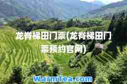 龙脊梯田门票(龙脊梯田门票预约官网)