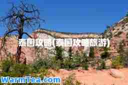 泰国攻略(泰国攻略旅游)