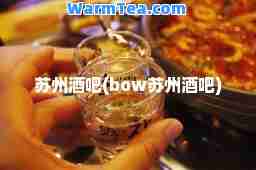 苏州酒吧(bow苏州酒吧)