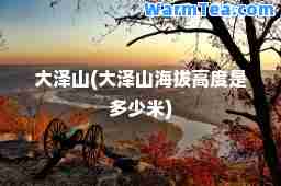 大泽山(大泽山海拔高度是多少米)