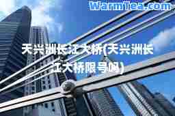 天兴洲长江大桥(天兴洲长江大桥限号吗)