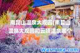 南昆山温泉大观园(南昆山温泉大观园和云顶温泉哪个好)