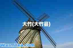 大竹(大竹县)