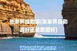 张家界自助游(张家界自助游好还是跟团好)