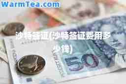 沙特签证(沙特签证费用多少钱)