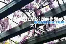 西湖公园(西湖公园面积多大)