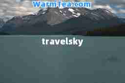 travelsky