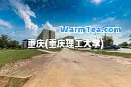 重庆(重庆理工大学)